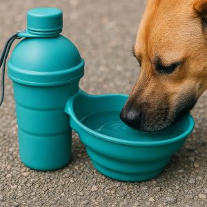 Collapsible Silicone Dog Water Bottle Travel